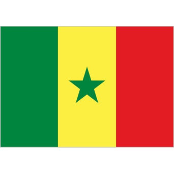 Bandera de Senegal de Poliéster Microperforada Reforzada