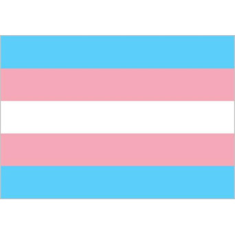 Bandera de Transgénero de 90 x 150 Centímetros de Poliéster para Interior