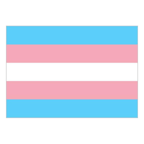 Bandera de Transgénero de 90 x 150 Centímetros de Poliéster para Interior