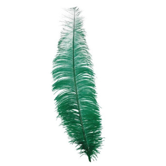 Pluma de Avestruz de 40 Centímetros de color Verde