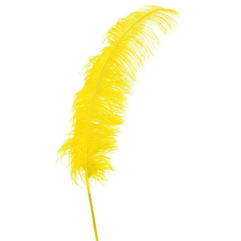 Pluma de Avestruz de 50 Centímetros de color Amarillo