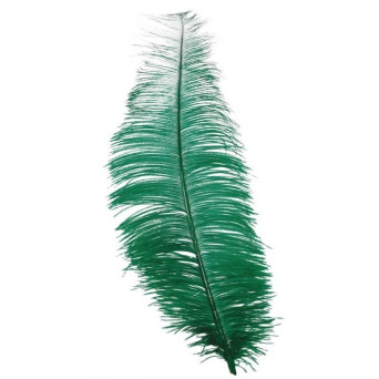 Pluma de Avestruz de 30 Centímetros de color Verde