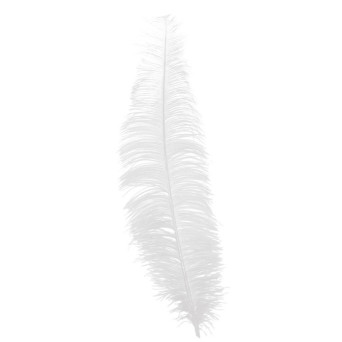 Pluma de Avestruz de 40 Centímetros de color Blanco