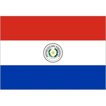 Bandera de Paraguay de Poliéster Microperforada Reforzada