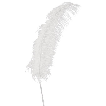 Pluma de Avestruz de 50 Centímetros de color Blanco