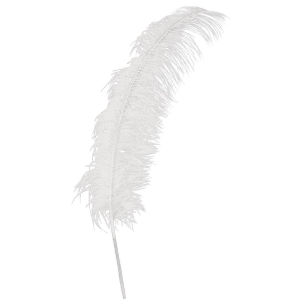 Pluma de Avestruz de 50 Centímetros de color Blanco