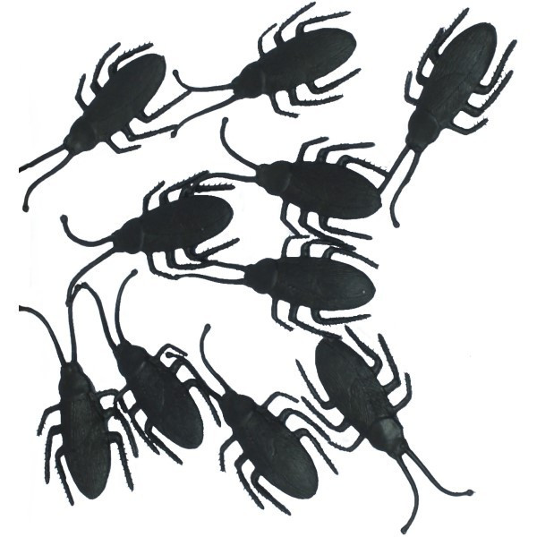 Cucaracha 10 Unidades de 7 Centímetros