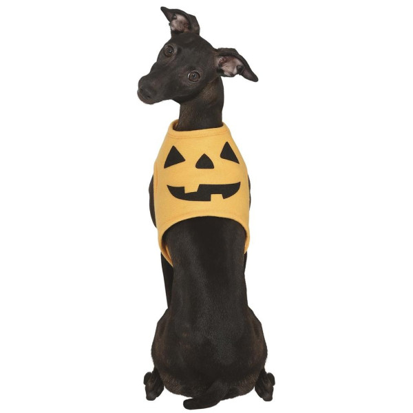 Disfraz de Calabaza para Mascota