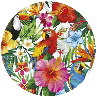 Plato de Hawaii 6 Unidades de 23 Centímetros