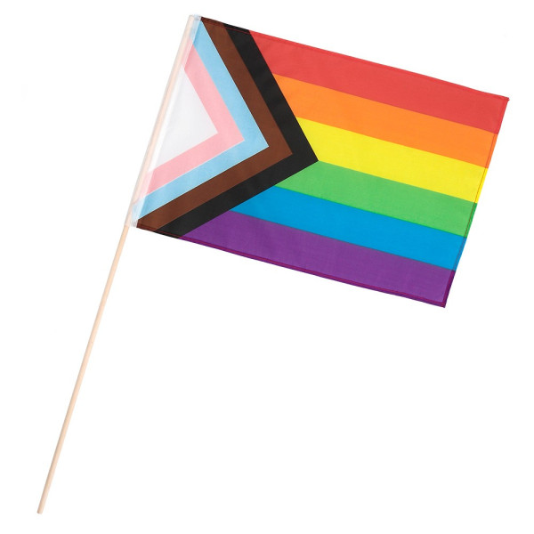 Bandera de LGBTIQ+ de 30 x 45 Centímetros con Palo