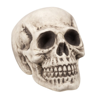 Calavera de 23 x 22 x 31 Centímetros
