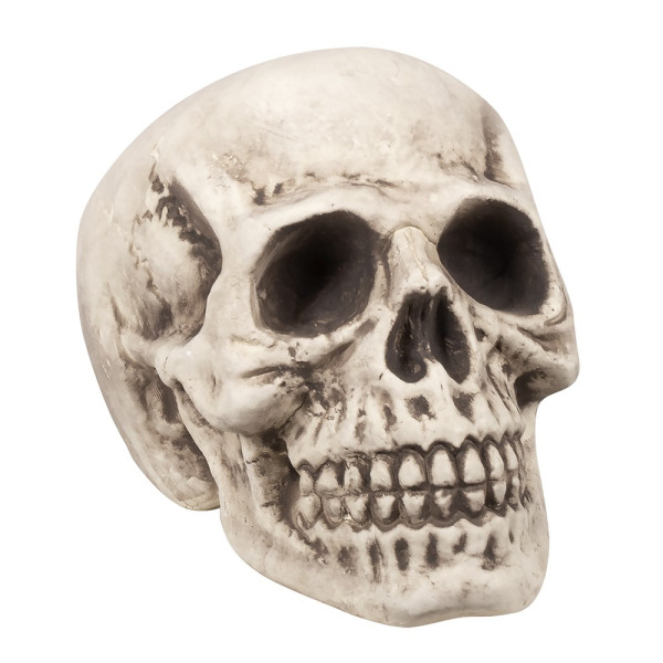 Calavera de 23 x 22 x 31 Centímetros