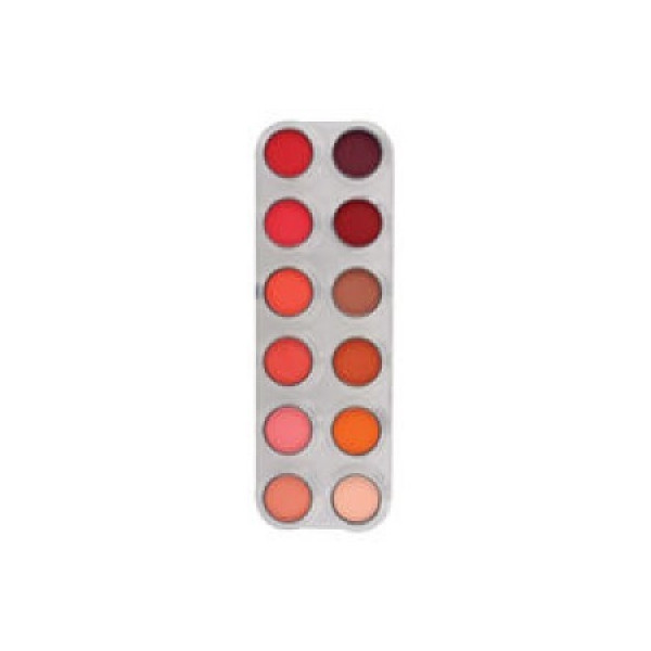 Paleta de Sombra de Ojos RC de 12 Colores de 2 Gramos de Grimas