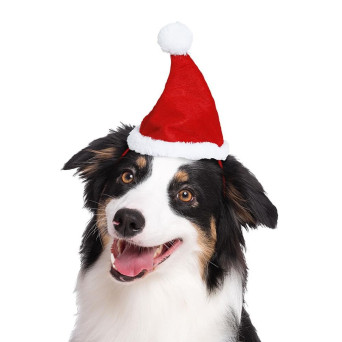 Gorro de Papá Noel para Mascota