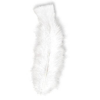 Pluma 50 Unidades de 10 Centímetros de color Blanco