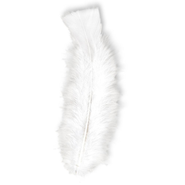 Pluma 50 Unidades de 10 Centímetros de color Blanco