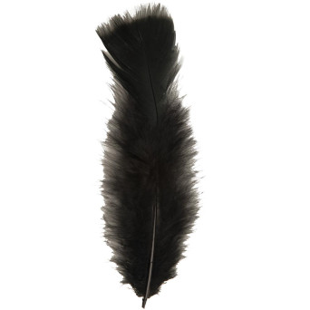 Pluma 50 Unidades de 10 Centímetros de color Negro