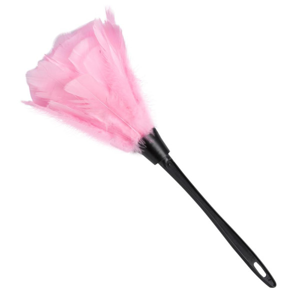 Plumero de color Rosa