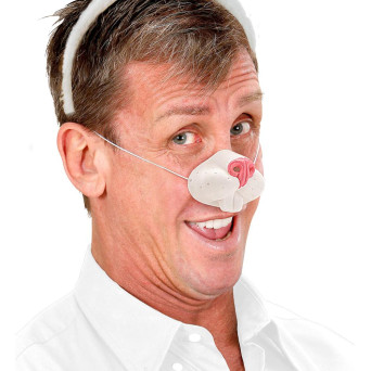 Nariz de Conejo