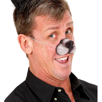Nariz de Gato