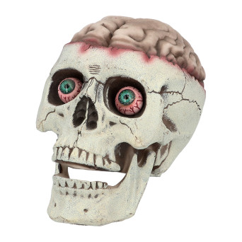 Calavera de Muerte Cerebral de 18 x 13 x 15 Centímetros