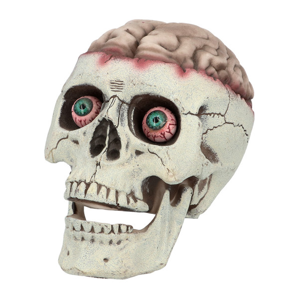 Calavera de Muerte Cerebral de 18 x 13 x 15 Centímetros
