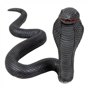 Cobra de 65 Centímetros