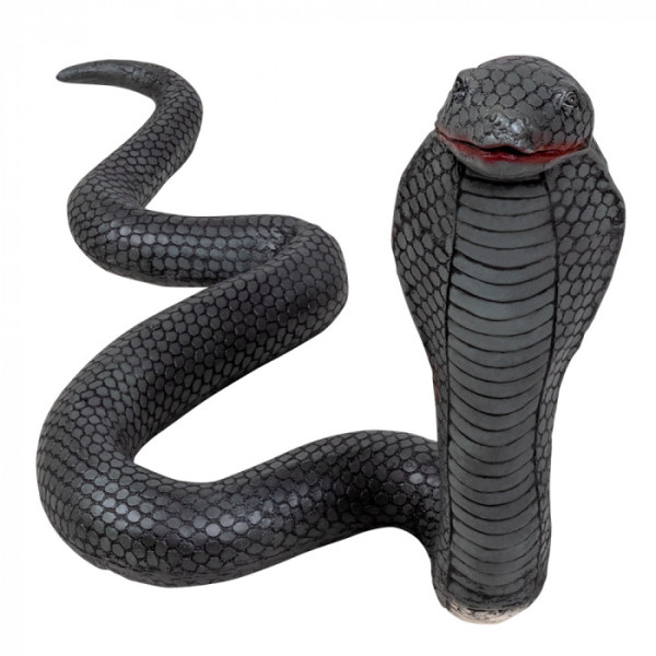Cobra de 65 Centímetros