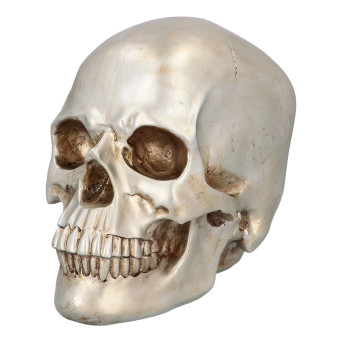 Calavera Brillante de 26 x 18 x 23 Centímetros