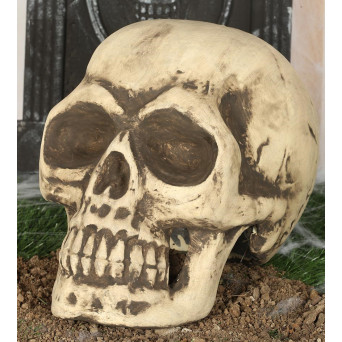 Calavera de 32 Centímetros