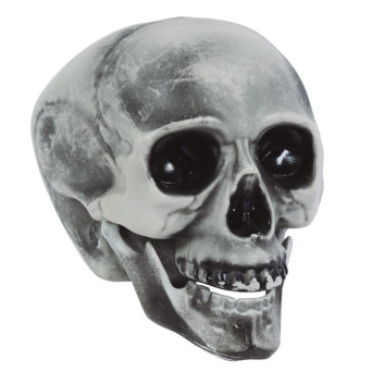 Calavera de 20 Centímetros