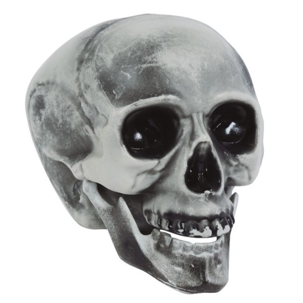 Calavera de 20 Centímetros
