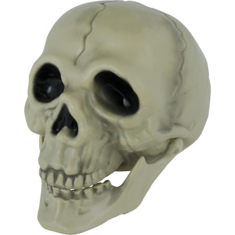 Calavera de 13 Centímetros