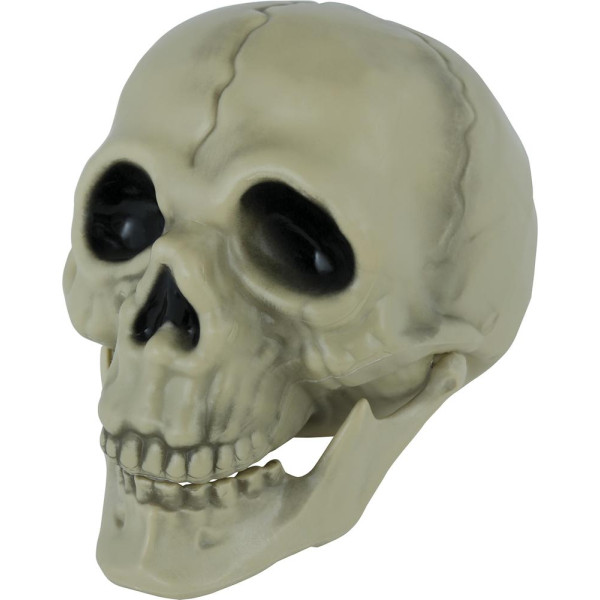 Calavera de 13 Centímetros