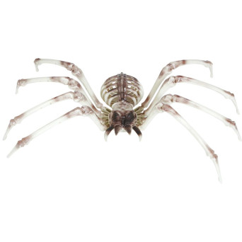 Esqueleto de Araña de 85 x 35 Centímetros