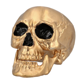 Calavera de 17 x 24 Centímetros de color Oro