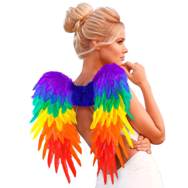 Alas de Plumas de Rainbow de 50 x 50 Centímetros