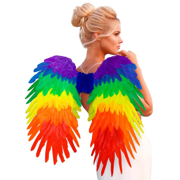 Alas de Plumas Rainbow de 80 x 60 Centímetros