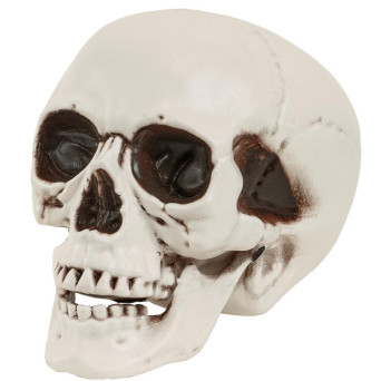 Calavera de 28 Centímetros