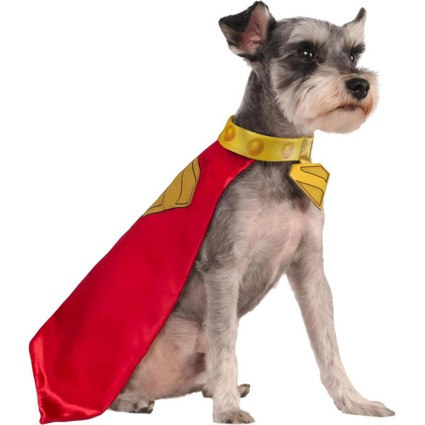 Disfraz de Krypto de DC Superman para Mascota