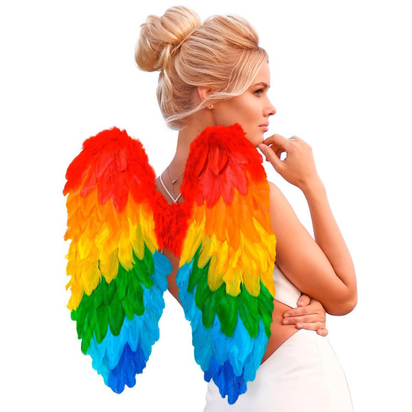 Alas de Plumas de Rainbow de 50 x 50 Centímetros