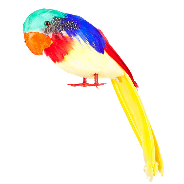 Loro de 30 Centímetros