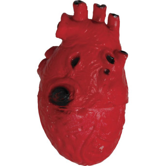 Corazón de 15 Centímetros