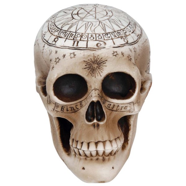 Calavera de Espiritismo de 20 Centímetros