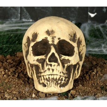 Calavera de 22 Centímetros