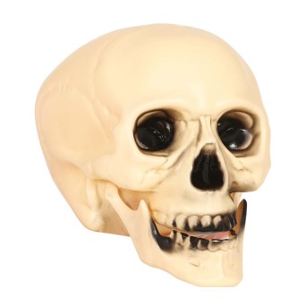 Calavera de 20 Centímetros