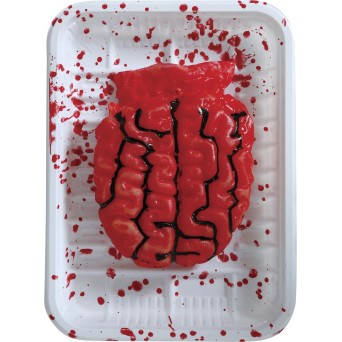 Bandeja con Cerebro de 18 x 13 Centímetros