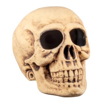 Calavera de 35 x 35 x 47 Centímetros