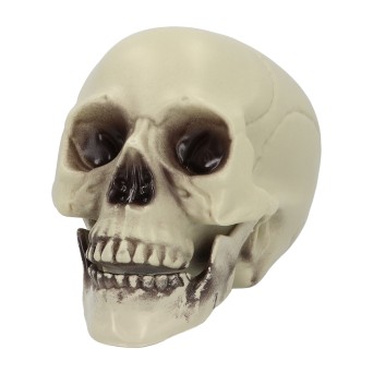 Calavera de 15 x 20 x 16 Centímetros