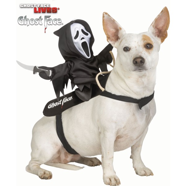 Disfraz de Ghost Face Rider para Mascota